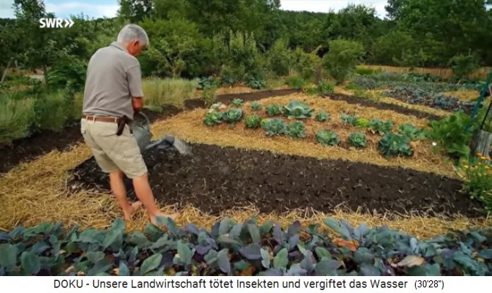 Le Bec:
                    Charles Herv� begiesst seine H�gelbeete mit
                    Blech-Gieskannen