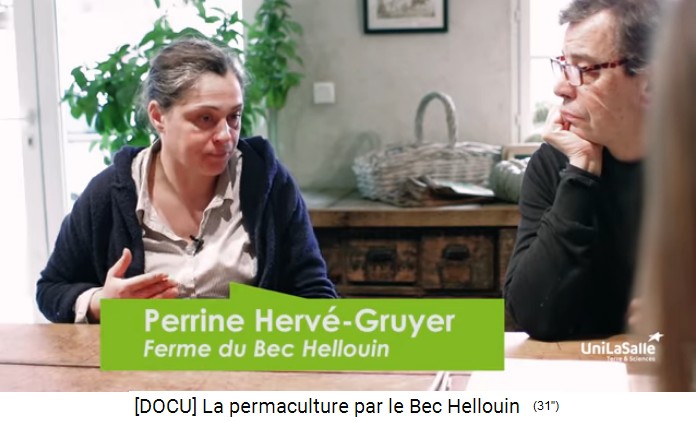 Perrine Herv�-Gruyer
