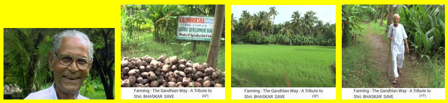 04i: Die
                                  Bio-Kokosnuss-Reisfarm von Mr. Bhaskar
                                  Save - Valsad, Gujarat, Indien Bhaskar
                                  Hiraji Save, Pionier in Gujarat mit
                                  einer komplett biologischen
                                  Kokos-Reisfarm (Permakultur)