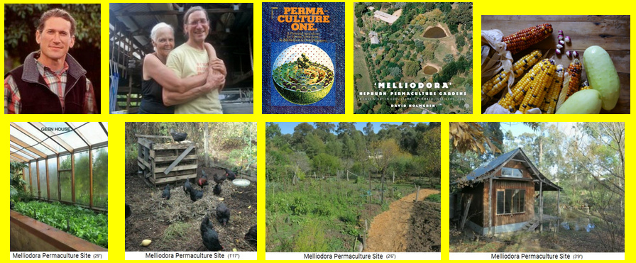 Holmgren, sein
Permakultur-Forschungszentrum
"Melliodora" in Hepburn
Springs, Australien, mit Büchern,
Ernten, integriertem Treibhaus,
Mischkulturen, Gartenhaus und Teich Holmgren, sein
Permakultur-Forschungszentrum
"Melliodora" in Hepburn
Springs, Australien, mit Büchern,
Ernten, integriertem Treibhaus,
Mischkulturen, Gartenhaus und Teich