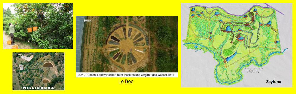 Permakultur-Höfe, Beispiele mit
dem Zitrusgarten von Fukuoka in Japan,
Melliodora in Australien, Le Bec in
Frankreich, und Zaytuna in Australien Permakultur-Höfe, Beispiele mit dem
Zitrusgarten von Fukuoka in Japan,
Melliodora in Australien, Le Bec in
Frankreich, und Zaytuna in Australien