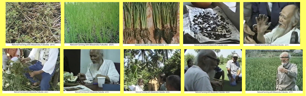 Pel�cula:
                                    Fukuoka en Jap�n+India 1997:
                                    discursos, mantillo, bolas de
                                    semillas, el c�sped criminal etc.