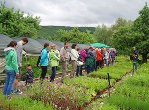 Permakultur-Projekt Eulenhof in
Möhlin (Schweinz / Schweiz CH) 2018 Permakultur-Projekt Eulenhof in
Möhlin (Schweinz / Schweiz CH) 2018