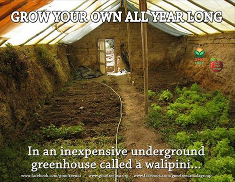 Andes: The Walipini is a
                    semi-underground greenhouse with geothermal heat,
                    where it never gets below 0 degrees.