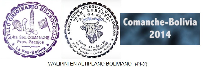 The stamps at the end of the
                          film, Bolivia