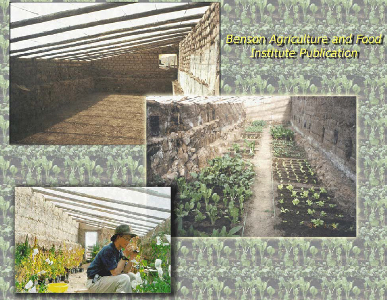 Die Dokumentation
                              des Benson-Instituts �ber das Walipini in
                              Bolivien von 2002