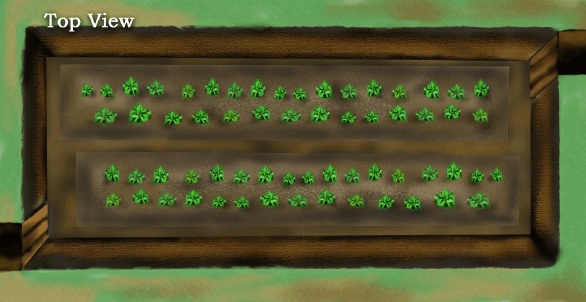 Bolivien:
                              Walipini (Grubentreibhaus), Sicht von oben
                              auf Salatbeete mit zwei T�ren, die sich
                              �ber Kreuz gegen�ber stehen