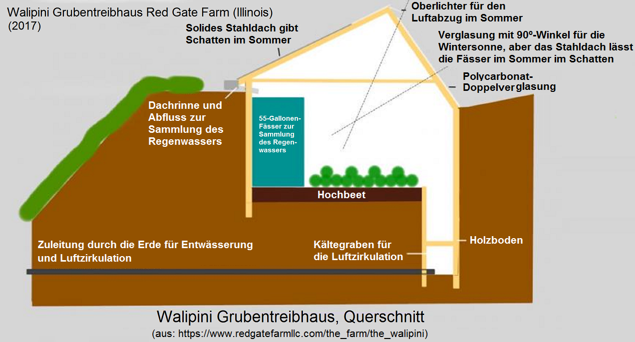 El invernadero
                                de fosa "Walipini" en la
                                granja Puerta Roja (Red Gate Farm) con
                                bancal elevado (mesa de tierra) y
                                barriles de agua, corte transversal