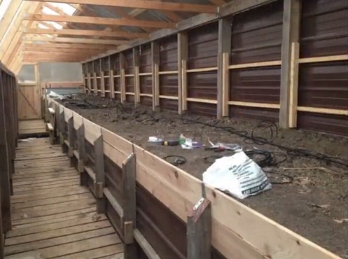 El
                                bancal elevado (mesa de tierra) est�
                                llena con humus