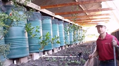�rboles tropicales en el
                                invernadero de fosa, el proyecto es de
                                dejar crecer las ramas lo largo de las
                                vigas