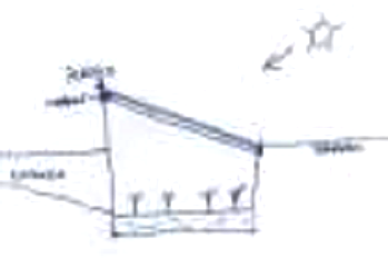 Un Walipini con paredes de tierra
                                  con un techo inclinado con pared
                                  trasera, secci�n transversal