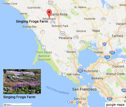 Karte mit San
                          Francisco, Sebastopol und der
                          Singing-Frogs-Farm