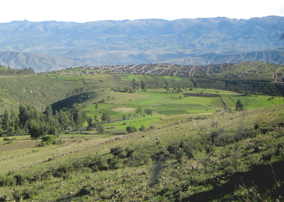 Felder mit Hecken und
                Steinmauern, Sierra über Ayacucho in Casaorqo, Peru