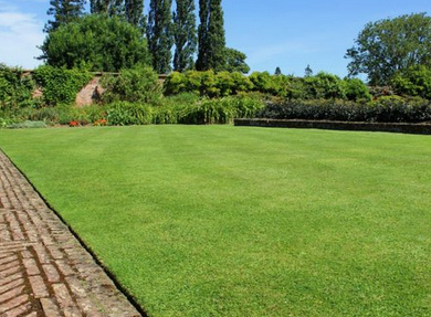 stop sterile
                                  lawn, this invention is very bad,
                                  there must be flower meadows