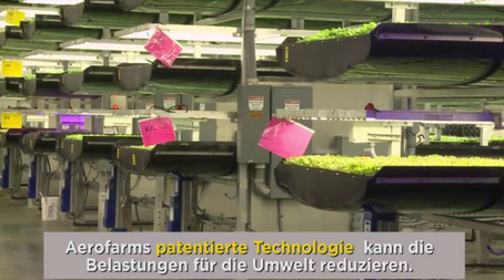 salad production in the
                              tower greenhouse in a town just around the
                              corner, all costs for transportation can
                              be saved