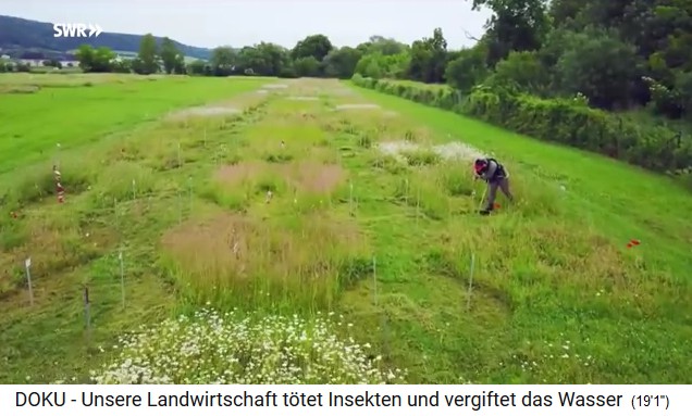 Bad Lauchst�dt near Halle, the
                                  agricultural experimental meadow