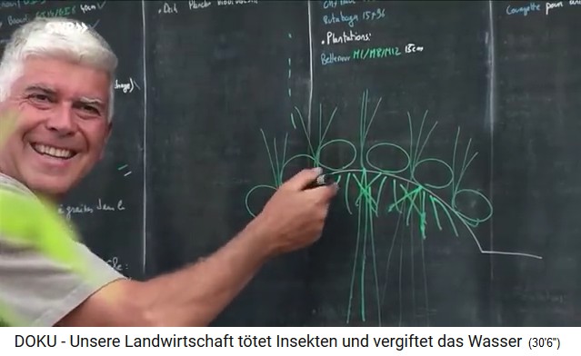 Permaculture farm "Bec
                              Hellouin" (Normandy), Charles Herve
                              Gruyer explains the hill bed, scheme