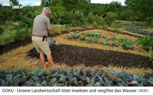 Permaculture farm "Bec
                              Hellouin", hill beds in the mandala
                              field 01