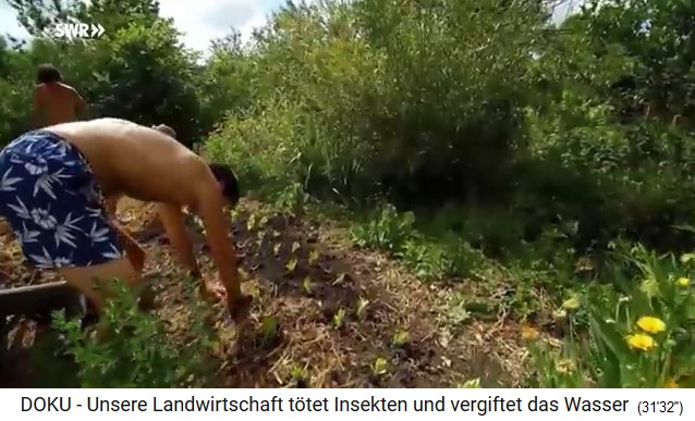 Permaculture farm "Bec
                              Hellouin": mulch is laid on the hill
                              beds