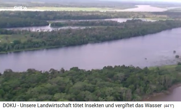 Amazonas jungle with rivers
                            (Amazonas River?)