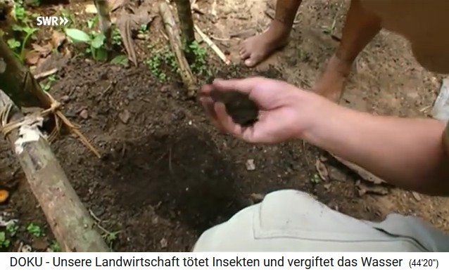 Amazon
                            Basin: Compost soil with charcoal
                            "Terra Preta" (Portuguese: black
                            earth)