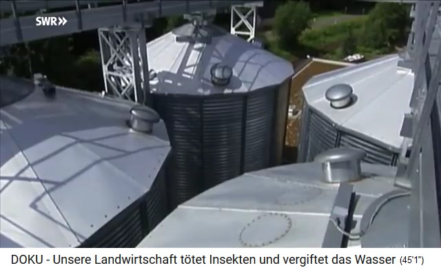 Untersuchung der Terra
                          Preta am Henstbacher Hof: Bestandteil Reste
                          aus Biogasanlage