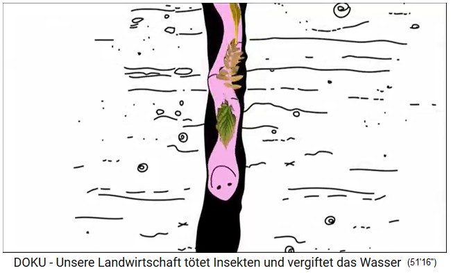 Comic: Earthworms
                              pull leaves down into the ground