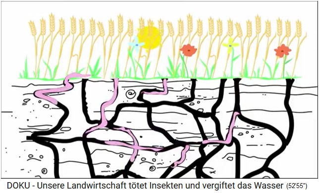 Comic: Earthworms
                                are tunnel builders to ventilate the
                                soil and absorb rainwater