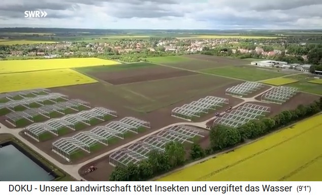 Das
                              Experimentierareal Bad Lauchst�dt bei
                              Halle