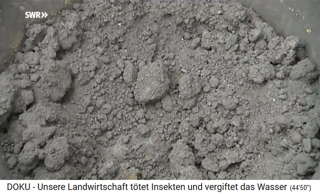 Investigation of Terra Preta at
                              Henstbacher Hof: Components are charcoal