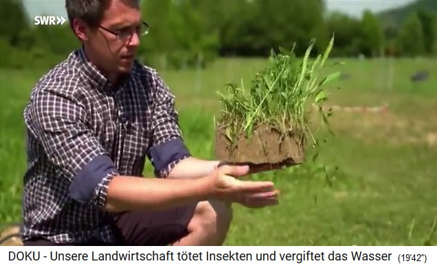 Bad Lauchst�dt, Professor Nico
                                  Eisenhauer takes a soil sample 02