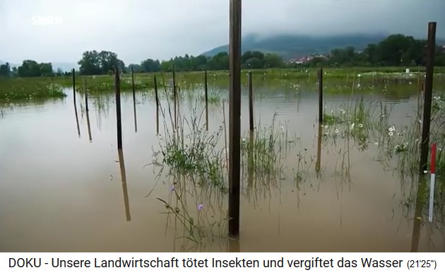 Bad Lauchst�dt, the
                              test meadow in the floods 2013