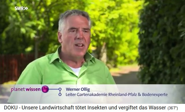 Werner Ollig,
                            portrait