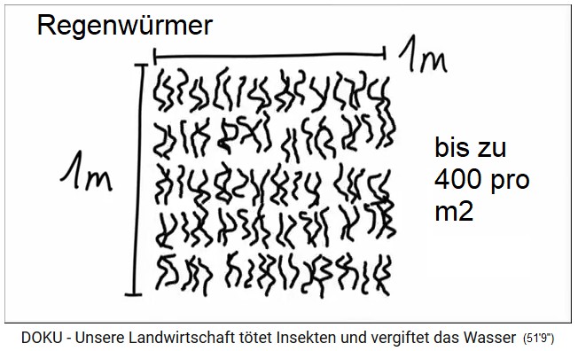 Comic: On 1 m2 there are
                              up to 400 earthworms
