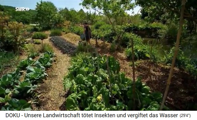 permaculture
                              farm "Bec Hellouin" in Normandy,
                              the cultivation takes place on mini fields
                              and any variety is planted