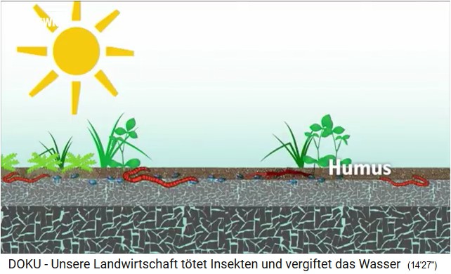 soil animals working in the upper
                                  layer of the earth, scheme