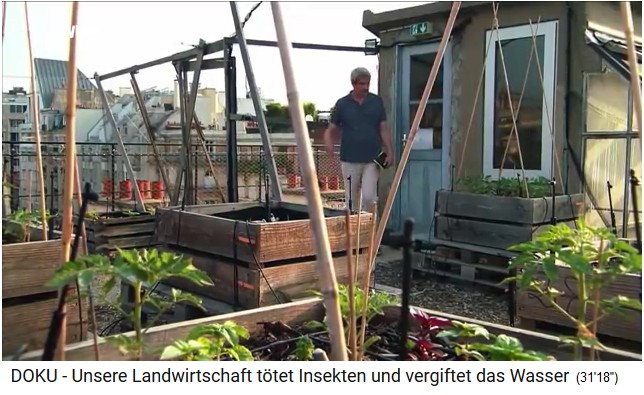The Agricultural
                              Research Institute in Paris, the
                              experimental plants on the roof terrace