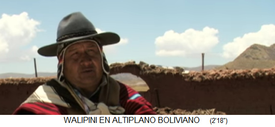 La agricultura
                          en Bolivia a 4000m de altitud, aquí muchos
                          invernaderos bajo tierra (Walipinis) deberían
                          proporcionar a una mejor seguridad
                          alimentaria. En total llueve aquí en Bolivia
                          sólo por 3 meses.
