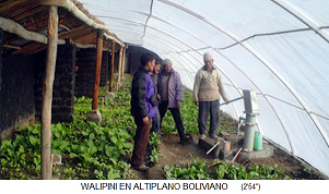 Walipini, halvt nedsänkt
                            växthus på en däcksida med genomskinliga
                            plastplattor till solsidan