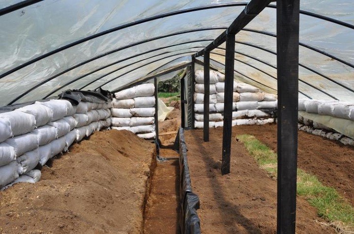 This lowered pit greenhouse in Patagonia
                          she designed walls with earth bags.