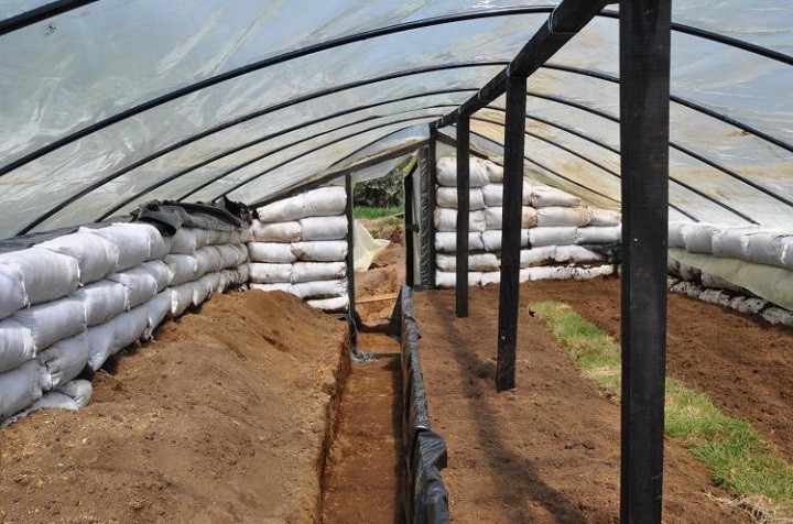 Este invernadero
                          medio enterrado en Patagonia (Argentina) tiene
                          un corredor central para el aire fr�o y para
                          manejar las plantas en la posici�n parada, y
                          tiene paredes con bolsas de tierra.