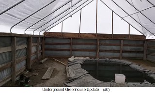 Simple Ground, the pit greenhouse,
                                interior view with pond