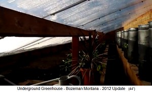 Pit greenhouse in Bozeman in Montana
                              (Canada) - interior view with cold air
                              ditch and water barrel heating 1