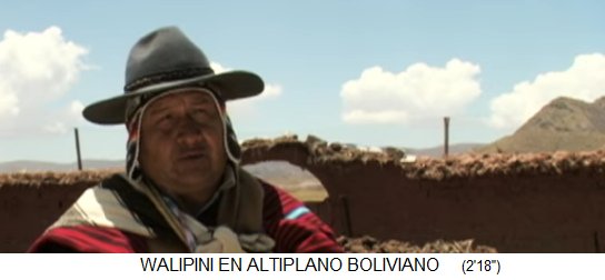 La agricultura
                          en Bolivia a 4000m de altitud, aqu� muchos
                          invernaderos bajo tierra (Walipinis) deber�an
                          proporcionar a una mejor seguridad
                          alimentaria. En total llueve aqu� en Bolivia
                          s�lo por 3 meses.