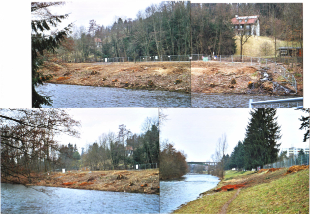 Der Uferlauf des Auenparks am Fluss Wiese
                          gerodet, bersicht des Kahlschlags