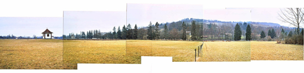 Das Panorama des Auenparks am Fluss
                          Wiese, Totalansicht: Es fehlen zwei Tannen und
                          viel Kleinholz...