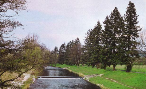 Der
                          Fluss Wiese mit seinem Uferlauf.