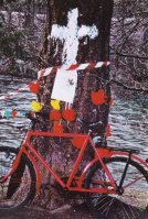 Diese Tanne mit einem Velo vorne dran hat
                          das Grabkreuz, sie soll Opfer der
                          Zollfreistrasse werden