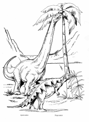 Dinosaurier:
                                Apatosaurus und Stegosaurier