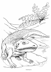 Dinosaurus:
                                Dendererpeton